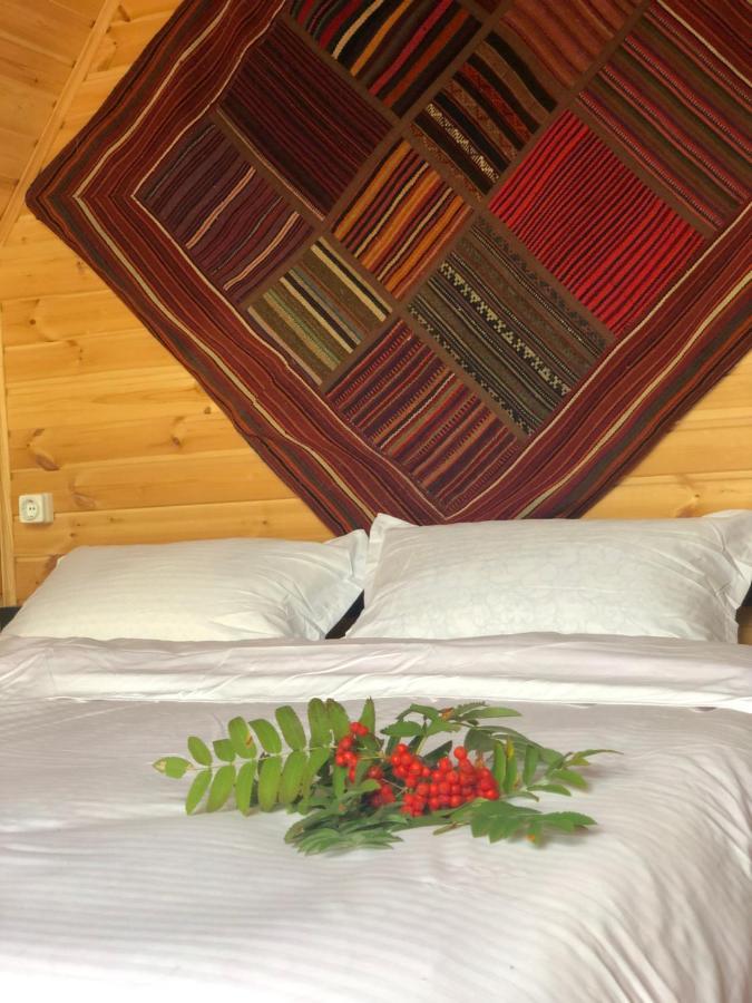 Kazbegi Kuro Cottages Dış mekan fotoğraf